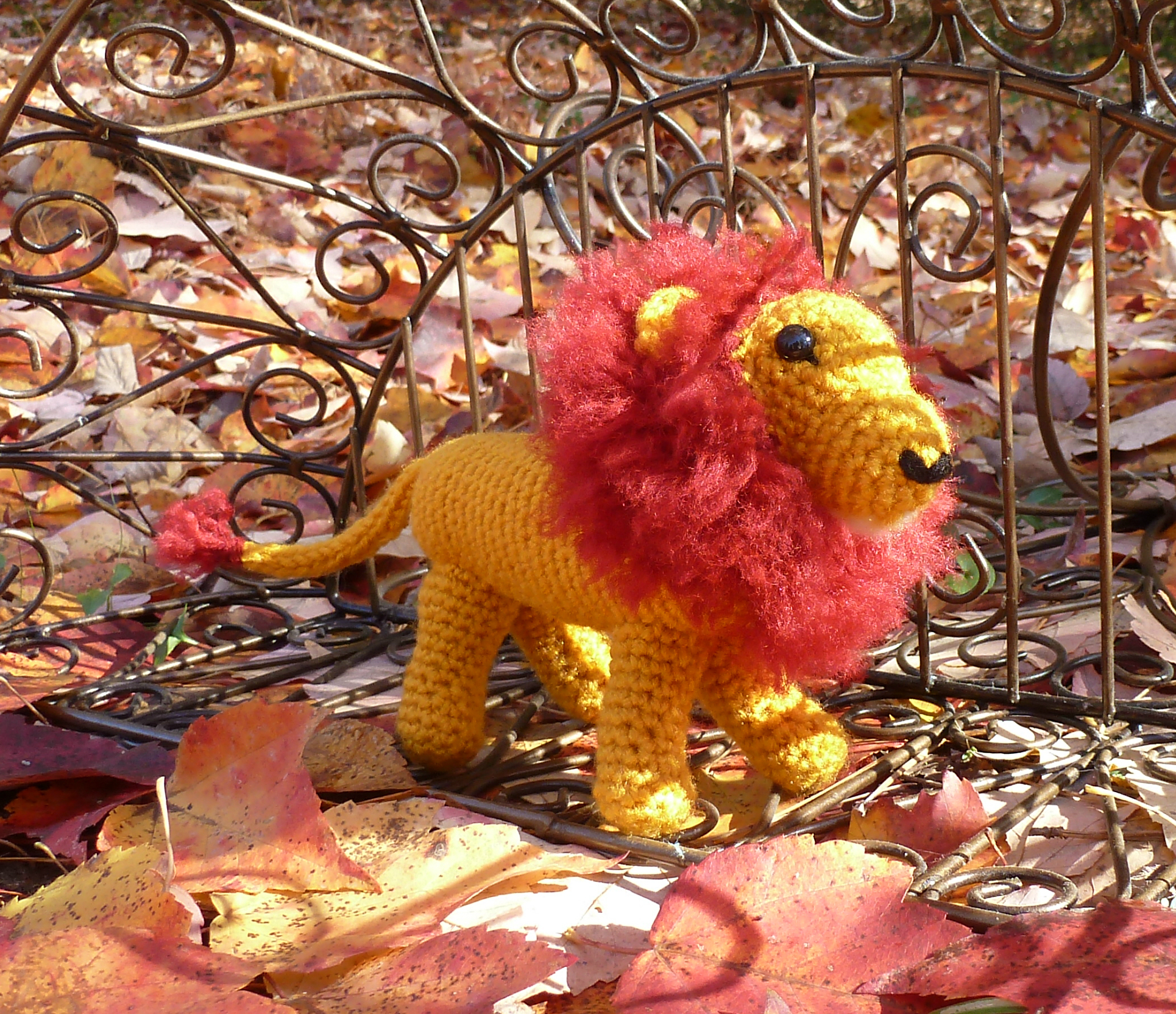 Autumn Lion