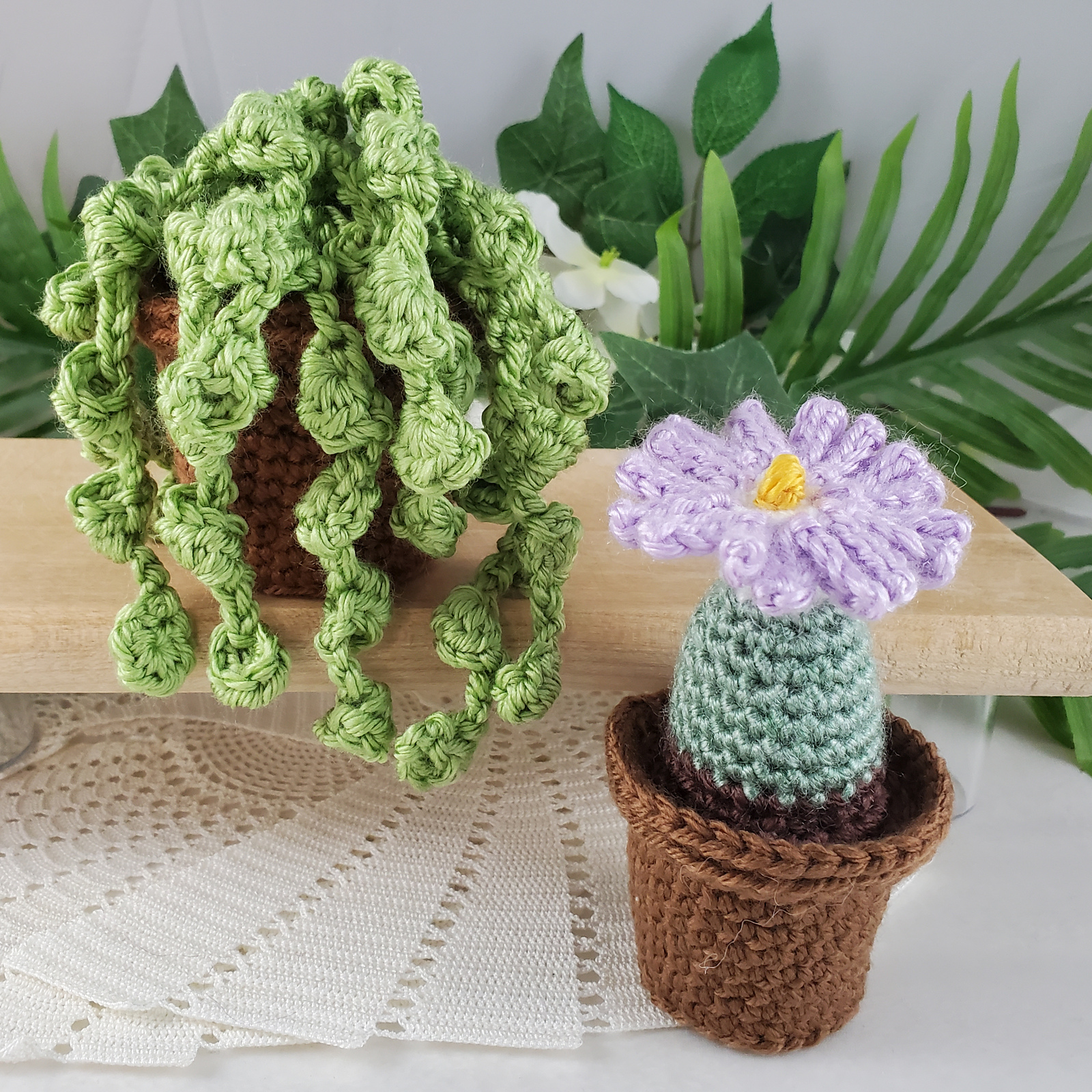 Plants & Flowers